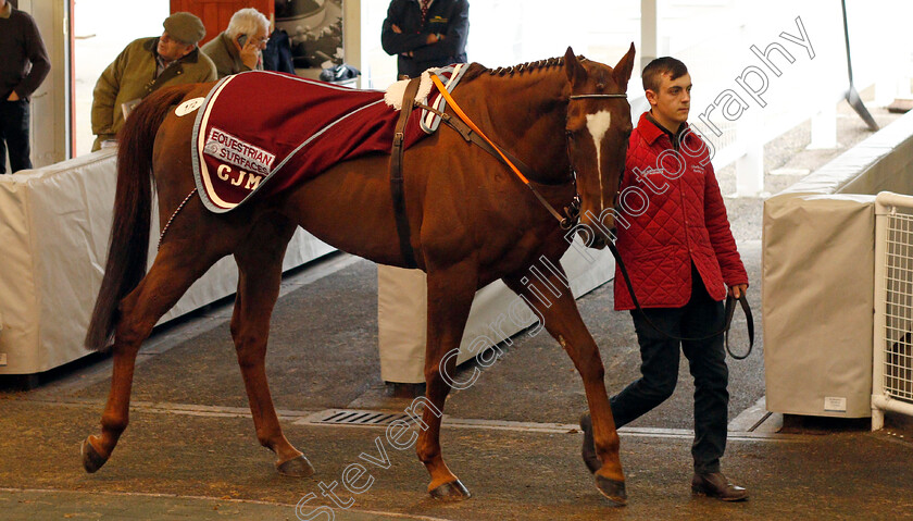 Lot-0172-Gowanauthat-£16000-0001 
 Lot 172 GOWANAUTHAT selling for £16000 at Tattersalls Ireland Ascot November Sale 9 Nov 2017 - Pic Steven Cargill / Racinfotos.com