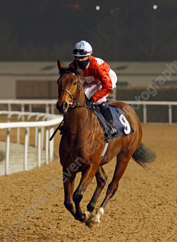 Pop-Ya-Collar-0001 
 POP YA COLLAR (Morgan Cole)
Wolverhampton 7 Jan 2021 - Pic Steven Cargill / Racingfotos.com