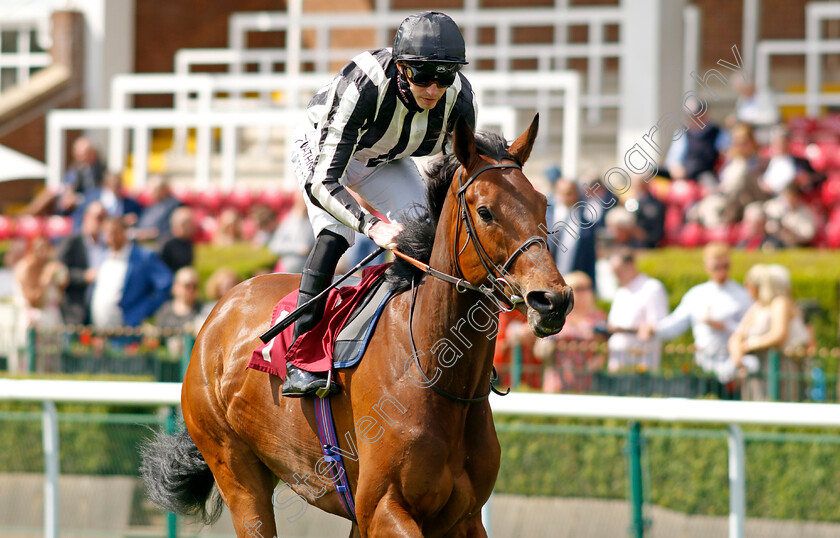 Nothing-To-Sea-0001 
 NOTHING TO SEA (James Doyle)
Haydock 25 May 2024 - Pic Steven cargill / Racingfotos.com