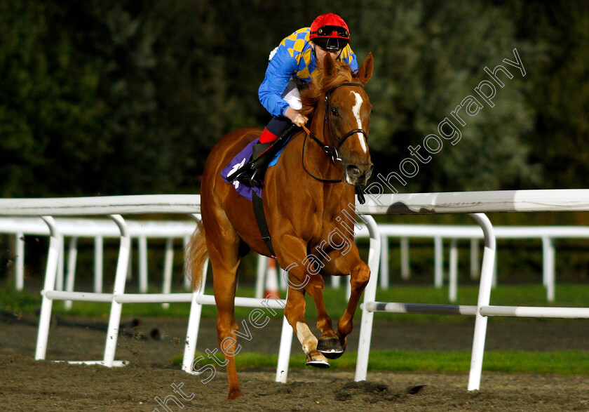 Sparkling-Surf-0001 
 SPARKLING SURF (David Egan)
Kempton 18 Sep 2018 - Pic Steven Cargill / Racingfotos.com