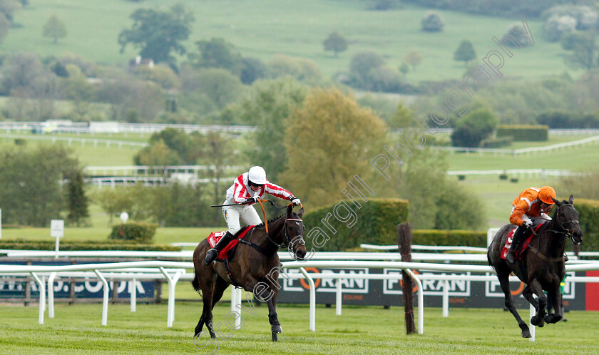 Latenightpass-0002 
 LATENIGHTPASS (left, Gina Andrews) beats CAPTAIN MCGINLEY (right) in The Connolly's Red Mills Intermediate Point-to-Point Championship Final Hunters Chase
Cheltenham 3 May 2019 - Pic Steven Cargill / Racingfotos.com