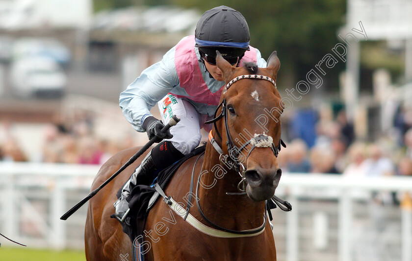 La-Maquina-0004 
 LA MAQUINA (Nicola Currie) wins The Thames Materials Recycled Primary Aggregates Handicap
Goodwood 24 May 2019 - Pic Steven Cargill / Racingfotos.com