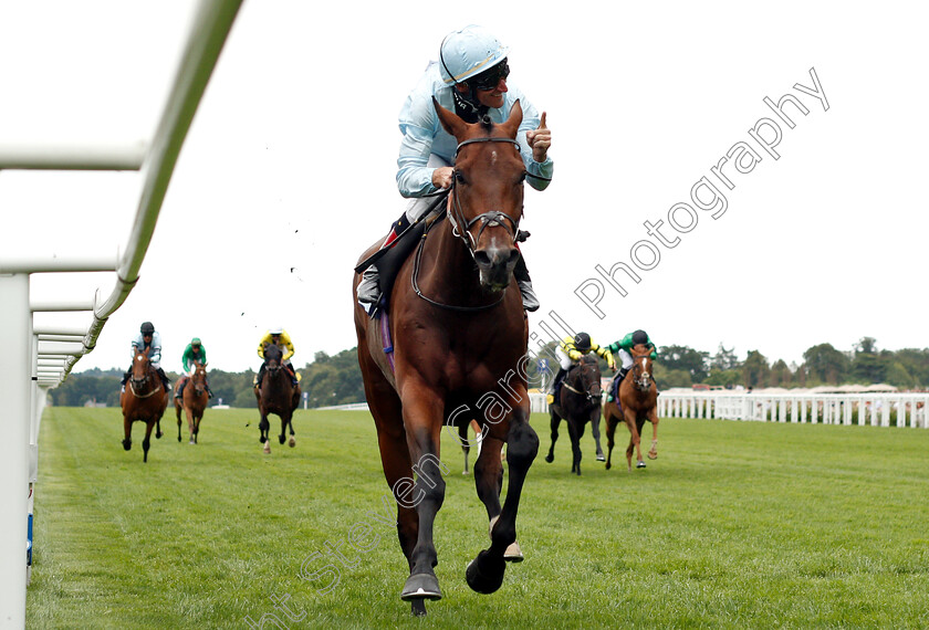 Genetics-0004 
 GENETICS (Andrasch Starke) wins The Dubai Duty Free Shergar Cup Challenge
Ascot 11 Aug 2018 - Pic Steven Cargill / Racingfotos.com