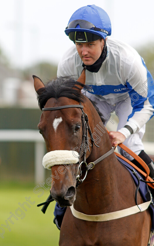 Ideal-Guest-0002 
 IDEAL GUEST (Tom Queally)
Yarmouth 14 Jul 2021 - Pic Steven Cargill / Racingfotos.com