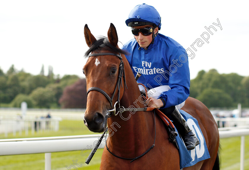 True-Belief-0001 
 TRUE BELIEF (William Buick)
York 17 May 2018 - Pic Steven Cargill / Racingfotos.com