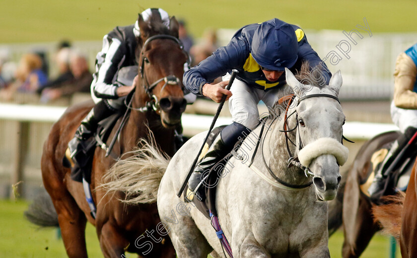 Lunar-Eclipse-0001 
 LUNAR ECLIPSE (William Buick)
Newmarket 23 Oct 2024 - Pic Steven Cargill / Racingfotos.com