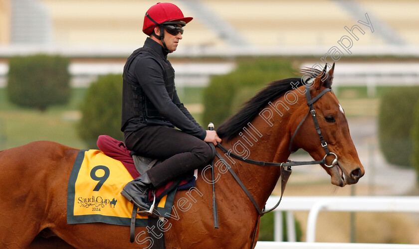 Luxembourg-0002 
 LUXEMBOURG training for The Neom Turf Cup
King Abdulaziz Racetrack, Saudi Arabia 22 Feb 2024 - Pic Steven Cargill / Racingfotos.com