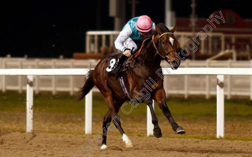 Summit-Reach-0003 
 SUMMIT REACH (Richard Kingscote) wins The Book Tickets At chelmsfordcityracecourse.com Novice Stakes Div1
Chelmsford 2 Jan 2020 - Pic Steven Cargill / Racingfotos.com