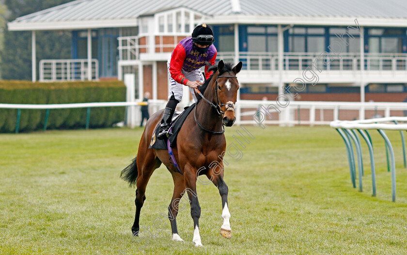 Sun-Festival-0001 
 SUN FESTIVAL (Ryan Moore)
Nottingham 27 Apr 2021 - Pic Steven Cargill / Racingfotos.com