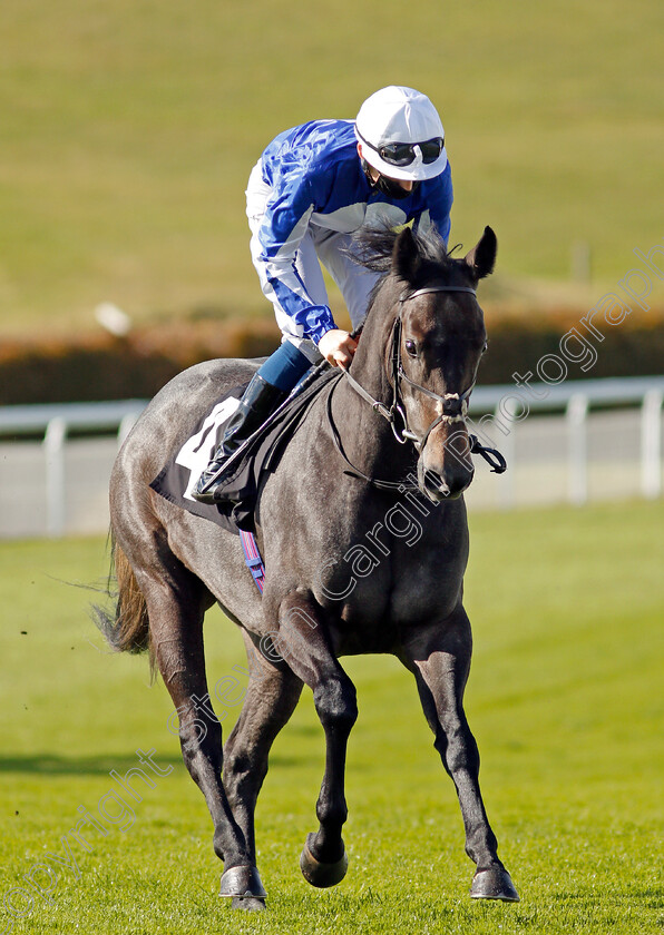 Mylie-0001 
 MYLIE (Callum Shepherd)
Goodwood 11 Oct 2020 - Pic Steven Cargill / Racingfotos.com