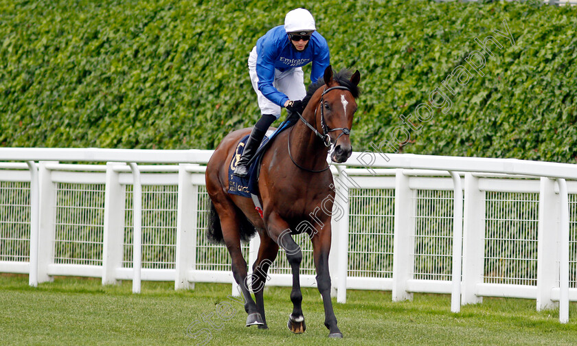 Secret-Protector-0001 
 SECRET PROTECTOR (James Doyle)
Ascot 17 Jun 2021 - Pic Steven Cargill / Racingfotos.com