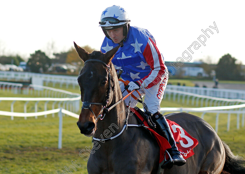 Special-Tiara-0001 
 SPECIAL TIARA (Noel Fehily) Cheltenham 19 Nov 2017 - Pic Steven Cargill / Racingfotos.com