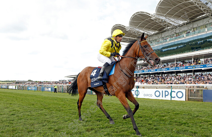 Elmalka-0007 
 ELMALKA (Silvestre de Sousa) winner of The Qipco 1000 Guineas
Newmarket 5 May 2024 - Pic Steven Cargill / Racingfotos.com