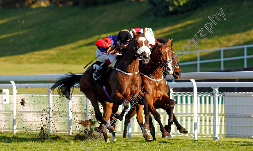 Natural-History-0004 
 NATURAL HISTORY (left, Oisin Murphy) beats GOSHEN (right) in The Join tote.co.uk Handicap
Goodwood 11 Oct 2020 - Pic Steven Cargill / Racingfotos.com