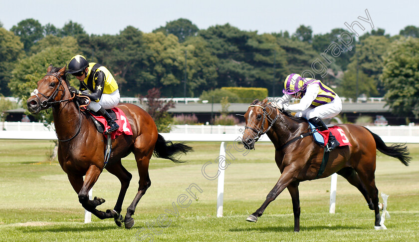 Jumira-Bridge-0002 
 JUMIRA BRIDGE (Kerrin McEvoy) beats TINTO (right) in The Sandown Park Supports Racing Staff Week Handicap
Sandown 5 Jul 2019 - Pic Steven Cargill / Racingfotos.com