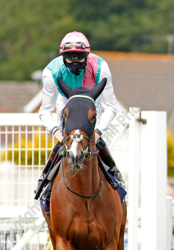 Portrush-0001 
 PORTRUSH (Robert Havlin) before winning The Download The At The Races App Maiden Stakes
Yarmouth 15 Jul 2020 - Pic Steven Cargill / Racingfotos.com