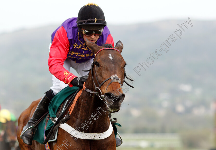 Sunshade-0006 
 SUNSHADE (Nico de Boinville) wins The Catesby Estates PLC Mares Handicap Hurdle
Cheltenham 18 Apr 2019 - Pic Steven Cargill / Racingfotos.com