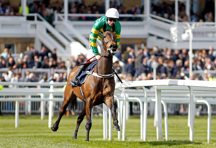 Epatante-0001 
 EPATANTE (Aidan Coleman)
Aintree 13 Apr 2023 - Pic Steven Cargill / Racingfotos.com