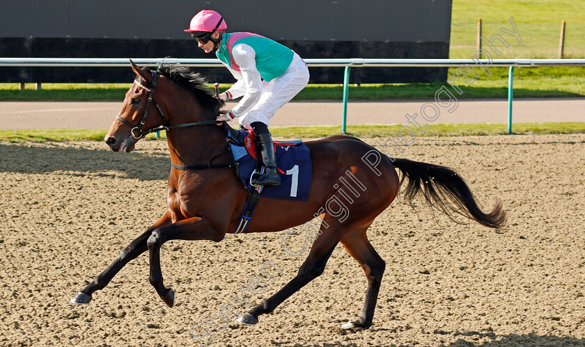 Purser-0001 
 PURSER (Robert Havlin) winner of The Injured Jockeys Fund EBF Novice Stakes Lingfield 5 Oct 2017 - Pic Steven Cargill / Racingfotos.com