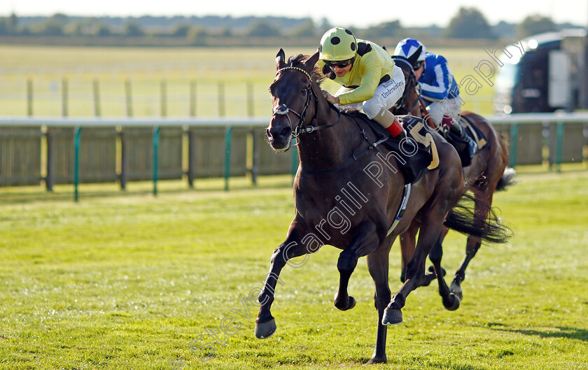 Without-A-Fight-0002 
 WITHOUT A FIGHT (Andrea Atzeni) wins The Unibet Godolphin Stakes
Newmarket 24 Sep 2021 - Pic Steven Cargill / Racingfotos.com