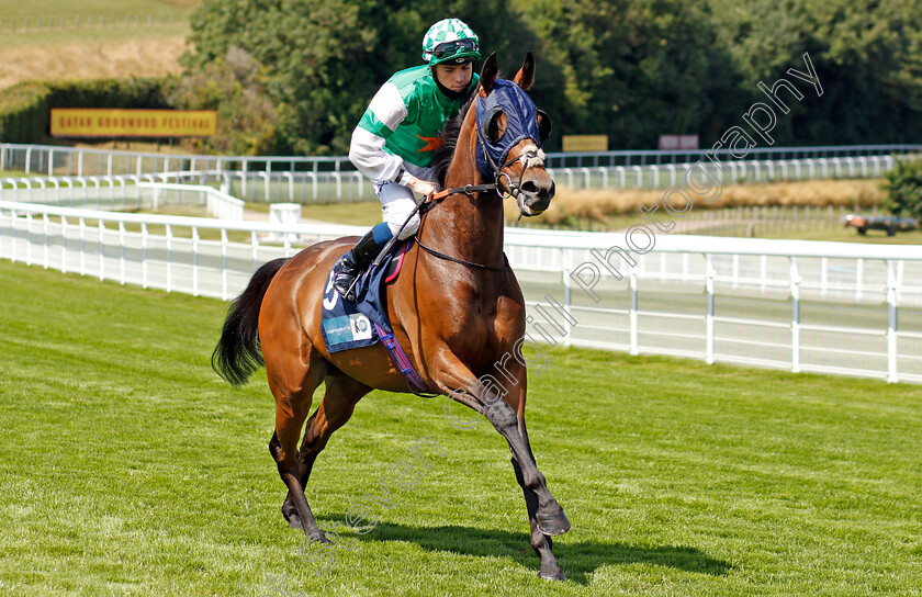 Geetanjali-0001 
 GEETANJALI (Callum Shepherd)
Goodwood 29 Jul 2020 - Pic Steven Cargill / Racingfotos.com