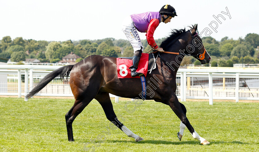 Topical-0001 
 TOPICAL (Ryan Moore)
Sandown 6 Jul 2018 - Pic Steven Cargill / Racingfotos.com