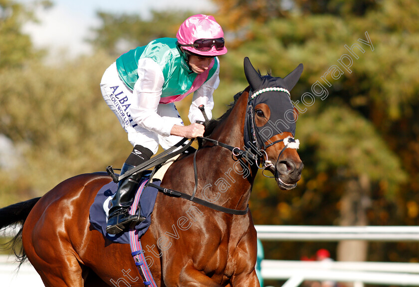 Brunnera-0002 
 BRUNNERA (Ryan Moore)
Lingfield 28 Oct 2021 - Pic Steven Cargill / Raingfotos.com