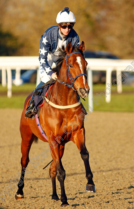 Cafe-Espresso-0001 
 CAFE ESPRESSO (Joey Haynes)
Lingfield 10 Jan 2020 - Pic Steven Cargill / Racingfotos.com