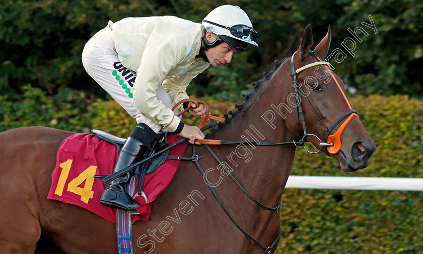 Lismore-0001 
 LISMORE (Luke Morris)
Kempton 2 Oct 2019 - Pic Steven Cargill / Racingfotos.com