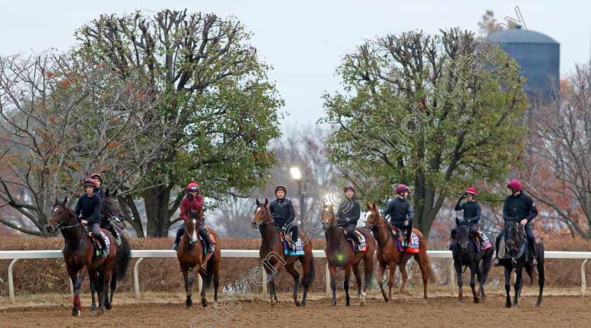 Aidan-O Brien-String-0002 
 Aidan O'Brien string training for the Breeders' Cup 
Keeneland USA 1 Nov 2022 - Pic Steven Cargill / Racingfotos.com