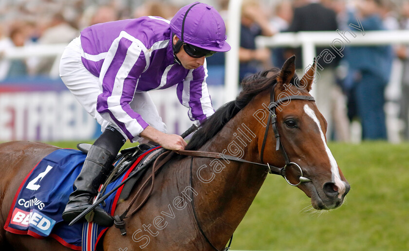 Continuous-0009 
 CONTINUOUS (Ryan Moore) wins The Betfred St Leger Stakes
Doncaster 16 Sep 2023 - Pic Steven Cargill / Racingfotos.com