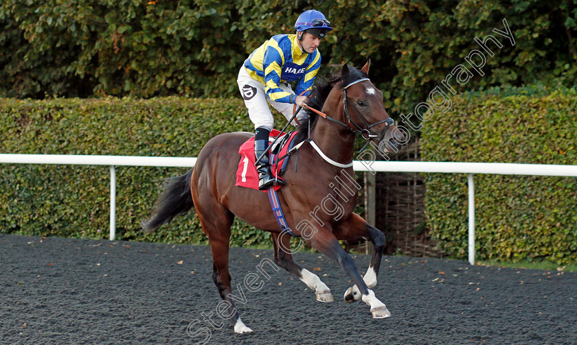 Chinese-Whisperer-0001 
 CHINESE WHISPERER (Tom Queally)
Kempton 2 Oct 2019 - Pic Steven Cargill / Racingfotos.com