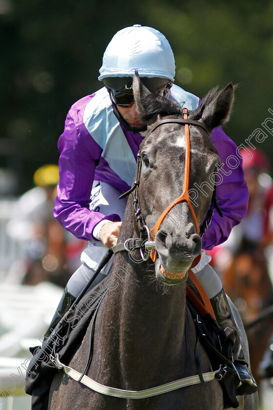 Single-Minded-0001 
 SINGLE MINDED (Dane O'Neill)
Newbury 16 Jul 2021 - Pic Steven Cargill / Racingfotos.com