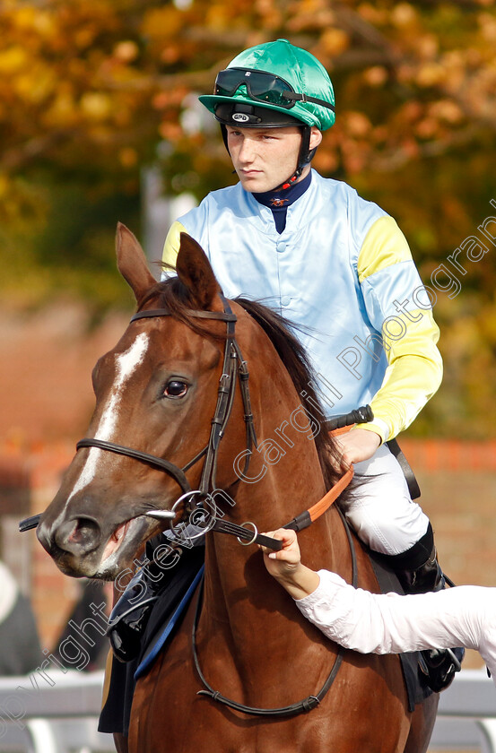 Dame-Sarra-0001 
 DAME SARRA (Rhys Clutterbuck)
Newmarket 19 Oct 2022 - Pic Steven Cargill / Racingfotos.com