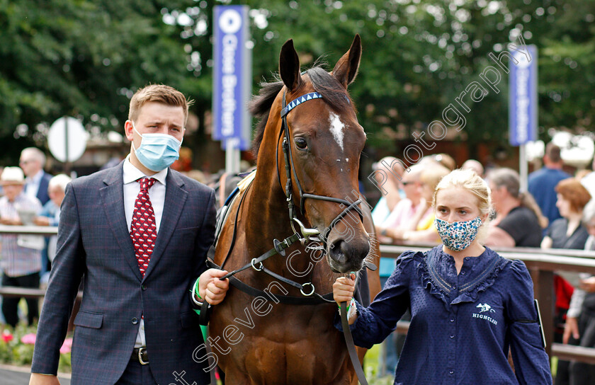 Cachet-0001 
 CACHET
Newmarket 26 Jun 2021 - Pic Steven Cargill / Racingfotos.com