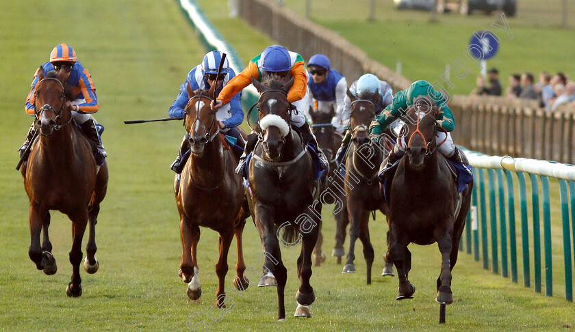 Euginio-0001 
 EUGINIO (right, Hayley Turner) beats FOREST RANGER (centre) in The Darley Stakes
Newmarket 13 Oct 2018 - Pic Steven Cargill / Racingfotos.com