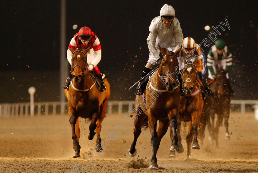 Matterhorn-0005 
 MATTERHORN (Joe Fanning) wins The Bet In Play totesport.com Handicap
Chelmsford 20 Feb 2019 - Pic Steven Cargill / Racingfotos.com