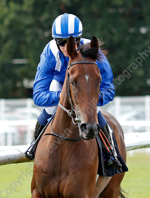 Areehaa-0001 
 AREEHAA (Jim Crowley)
Newbury 6 Aug 2019 - Pic Steven Cargill / Racingfotos.com