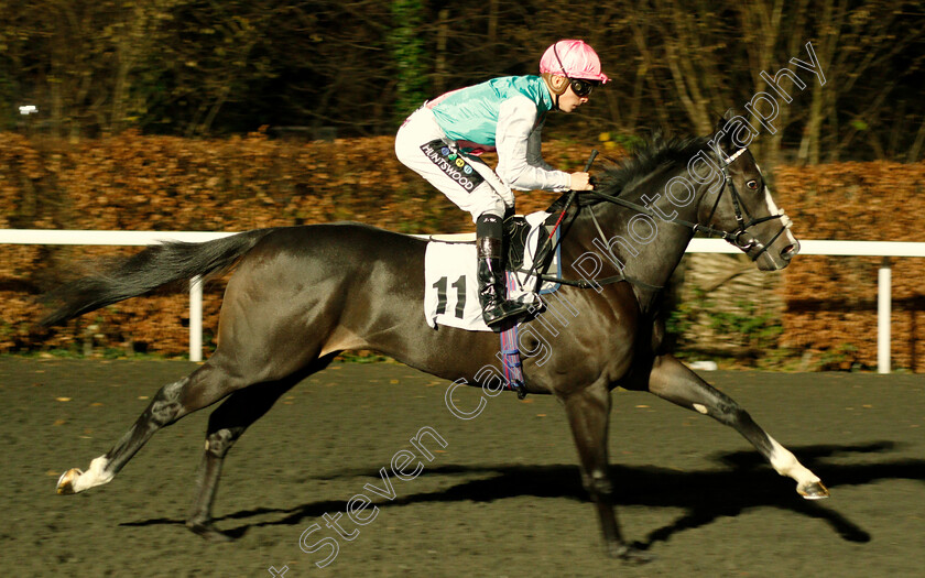 Set-Piece-0001 
 SET PIECE (Jason Watson) winner of The 32Red Casino British Stallion Studs EBF Novice Stakes Div1
Kempton 12 Dec 2018 - Pic Steven Cargill / Racingfotos.com