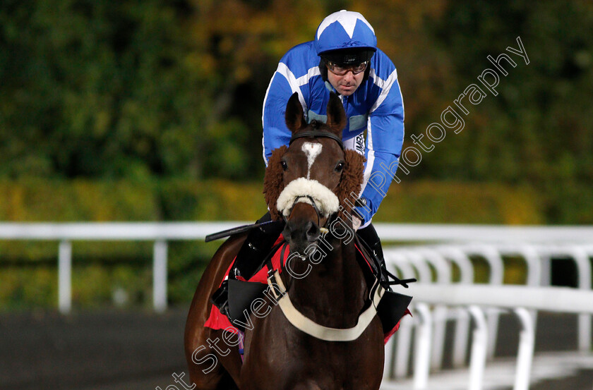 Sleep-Easy-0001 
 SLEEP EASY (Robert Winston) Kempton 4 Oct 2017 - Pic Steven Cargill / Racingfotos.com