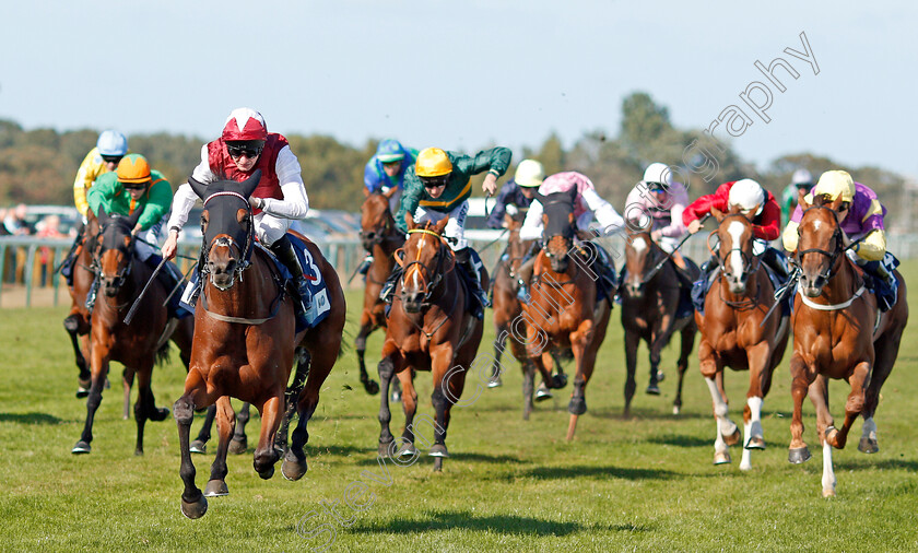 Fanny-Logan-0005 
 FANNY LOGAN (Robert Havlin) wins The EBF Stallions John Musker Fillies Stakes
Yarmouth 18 Sep 2019 - Pic Steven Cargill / Racingfotos.com