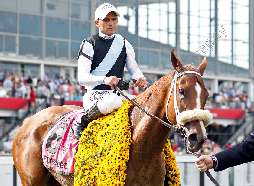 Point-Of-Honor-0009 
 POINT OF HONOR (Javier Castellano) after The Black-Eyed Susan Stakes
Pimlico, Balitmore USA, 17 May 2019 - Pic Steven Cargill / Racingfotos.com