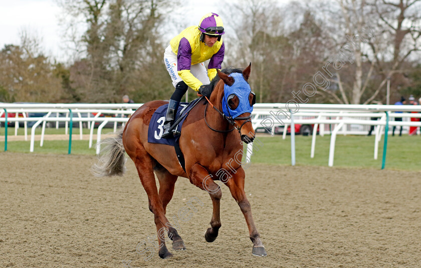 Bergerac-0001 
 BERGERAC (Tom Eaves)
Lingfield 20 Jan 2024 - Pic Steven Cargill / Racingfotos.com