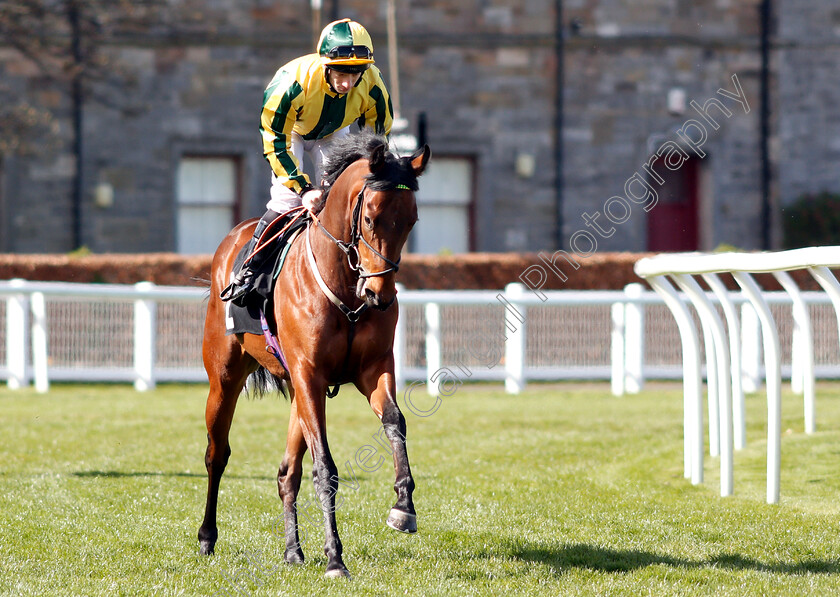 Baileys-Freedom-0001 
 BAILEYS FREEDOM (Edward Greatrex)
Musselburgh 2 Apr 2019 - Pic Steven Cargill / Racingfotos.com