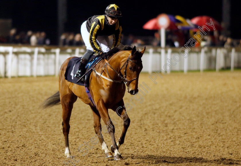 Lightning-Force-0002 
 LIGHTNING FORCE (Laura Pearson)
Wolverhampton 20 Dec 2024 - Pic Steven Cargill / Racingfotos.com