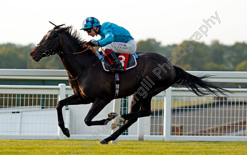 Sunset-Bay-0006 
 SUNSET BAY (Oisin Murphy) wins The Sir Wilford Brett Handicap
Sandown 21 Jul 2021 - Pic Steven Cargill / Racingfotos.com