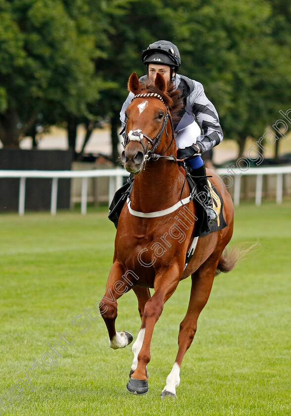 Dancing-Gypsy-0001 
 DANCING GYPSY (Gina Mangan)
Newmarket 29 Jul 2022 - Pic Steven Cargill / Racingfotos.com