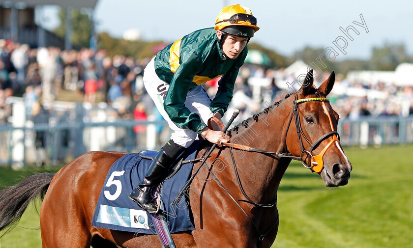 Brassica-0001 
 BRASSICA (Luke Morris)
Yarmouth 18 Sep 2019 - Pic Steven Cargill / Racingfotos.com