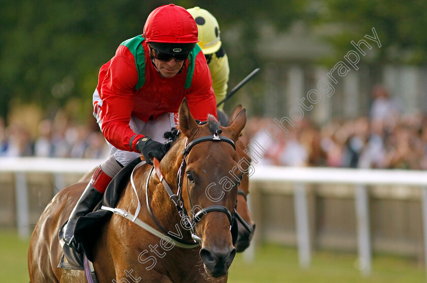 Temporize-0008 
 TEMPORIZE (Franny Norton) wins The Bet At Racingtv.com Novice Stakes
Newmarket 22 Jul 2022 - Pic Steven Cargill / Racingfotos.com