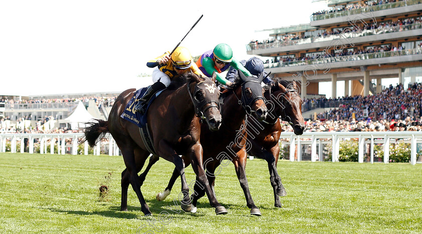 Shang-Shang-Shang-0002 
 SHANG SHANG SHANG (left, Joel Rosario) beats POCKET DYNAMO (centre) in The Norfolk Stakes
Royal Ascot 21 Jun 2018 - Pic Steven Cargill / Racingfotos.com